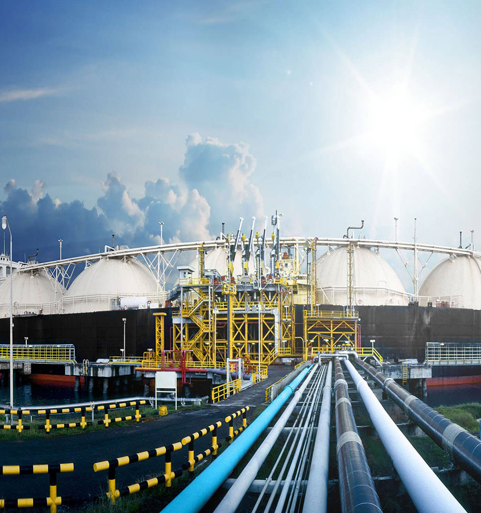 Bulk liquefied petroleum gas exporters